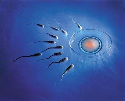男科专家